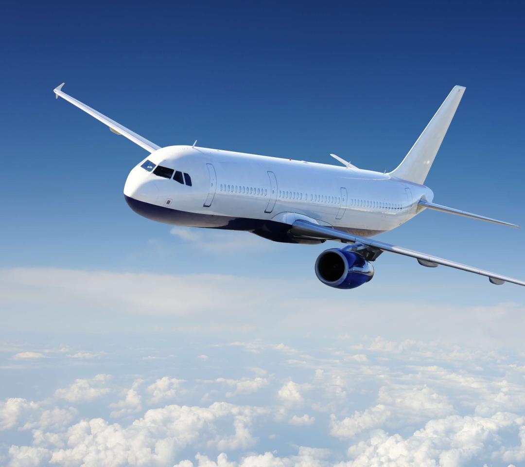 合肥航空貨運之夏季托運寵物要注意些什么？